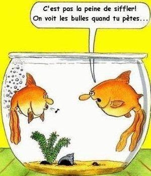 Mdr trop fort !!